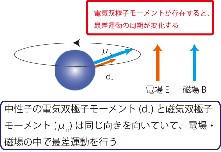 中性子の歳差運動